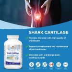 قرص غضروف کوسه Maplelife Shark Cartilage 750mg (300 عددی) - تصویر 11