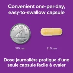 قرص ب کمپلکس Webber Naturals B50 Complex وبر نچرالز (80 عددی) - Image 4