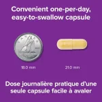 قرص ب کمپلکس Webber Naturals B50 Complex وبر نچرالز (80 عددی) - Image 5