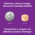 قرص جویدنی ویتامین Webber Naturals Chewable C 500mg وبر نچرالز (120 عددی) - Image 5