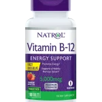 قرص ویتامین رهش سریع Natrol B12 Fast Dissolve 5000mcg ناترول (100 عددی)