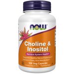 کپسول گیاهی سلامت بدن کولین و اینوزیتول ناو فودز NOW Foods Choline & Inositol (100 عددی)