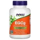 عصاره چای سبز ناو 90 عددی green tea Now EGCG 400mg_68088c6c4f81f.webp