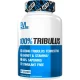 قرص عصاره تریبولوس EVL Tribulus Fruit 650mg (60 عددی)_6819d5cf7ebd3.webp