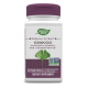 قرص عصاره جینکو بیلوبا NaturesWay Ginkgo Biloba 120mg نیچرز وی (60 عددی)_681b26cf9f8e2.png