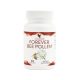 قرص فوراور بی پولن گرده زنبور عسل Forever Bee Pollen (100 عددی)_6825a57d06178.jpeg