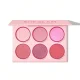 پالت رژگونه 6 رنگ شیگلم floral flush blush رنگ Blushing Bouquet_689ec0e0787b6.webp