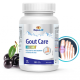 کپسول بهبود نقرس Maple Life Gout Care (100 عددی)_6835778f368b6.png