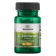 کپسول پروبیوتیک Swanson L. Plantarum Probiotic 10 Billion سوانسون (30 عددی)_6810938f350b7.png